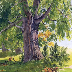 Именины в августе