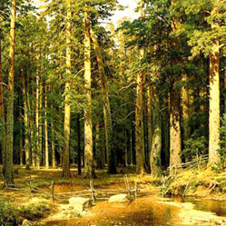 Именины в июле